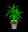 Potted Plant